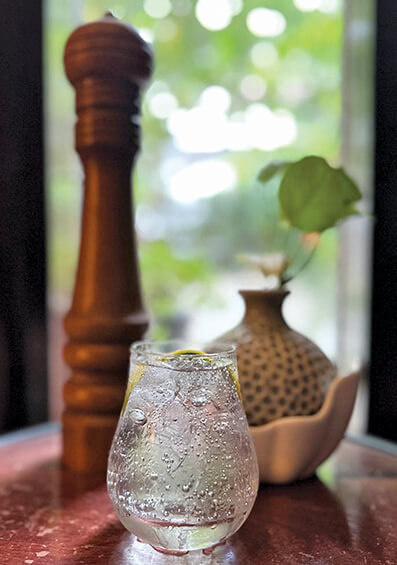 Mango and Black Pepper Gin and Tonic - Sprinkles and Sprouts