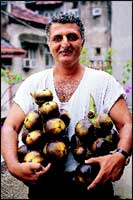 A Bombay Parsi who is more interested in the tadgola fruit than the toddy that can be got from its tree.