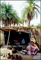 An Adivasi woman selling toddy on the road between Udvada and Gholvad. At the back at the palmyra trees.