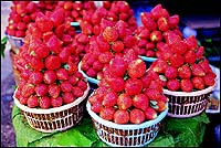 For sale in the Mahabaleshwar bazaar, strawberries, raspberries and cranberries. And chikki, fudge and honey.