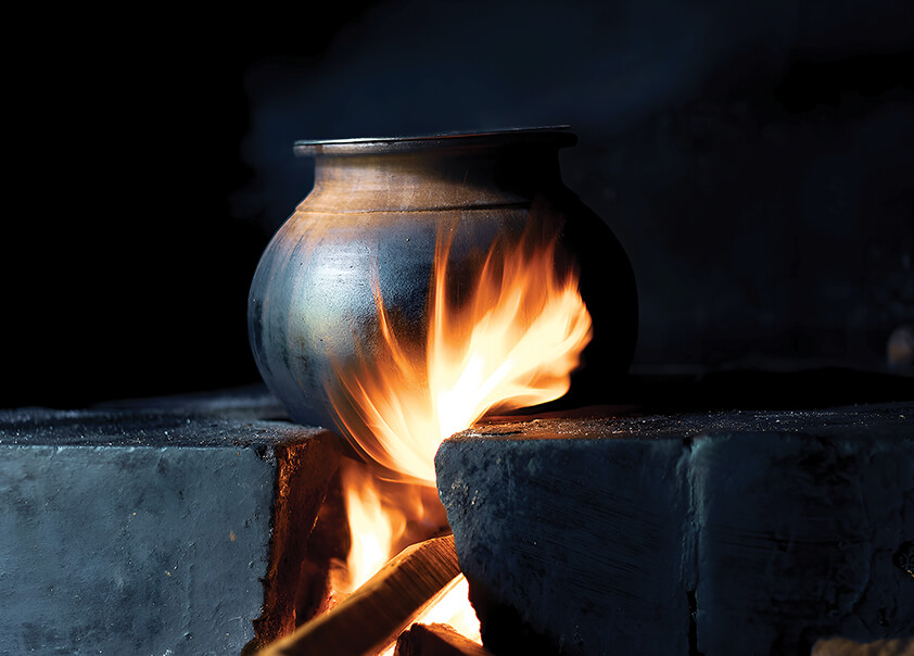 Cooking Mediums - Cooking Mediums Used For Culturing Felv Stocks